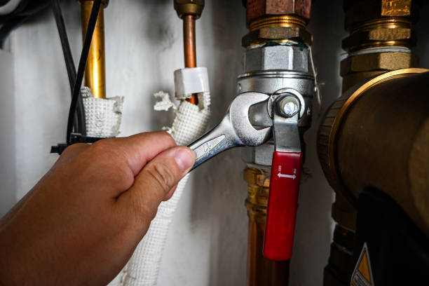 Best Emergency Plumber  in Carlin, NV